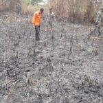 Disampaikan oleh Kapten Andi Tiro lahan yang terbakar kurang 0,5 sampai 2 hektar merupakan lahan kosong.
