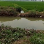 Kurang peduli terhadap irigasi kp. Pondok Gede, saluran cacing yang ke Sawah lahan pertanian. Kurang peduli terhadap irigasi kp. Pondok Gede, saluran cacing yang ke Sawah lahan pertanian.