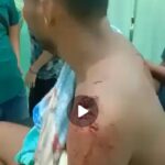 KORBAN SAAT MELINTASI HUTAN MASYARAKAT SITUBONDO, HARIMAU TERKAM KORBAT SAAT ISTIRAHAT.