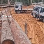 Pihak tiga menteri Kehutan, Menteri LH dan menteri SDM harus di pecat, karena membawa musibah.