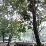 Masih ada saja berolahraga setiap pagi hari, karena suasana alami.