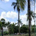 Hujan akan terjadi pada menjelang tengah malam.