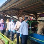 ​Pemeriksaan medis tersebut meliputi bagian mulut, kaki, dan kuku guna memastikan hewan kurban.