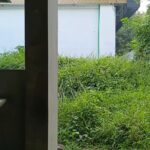 Gedung yang di bangun dengan mengunakan uang Rakyat belum di pakai, sutumbuh semak belukar. IMG-20260703-WA0002