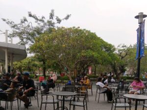 IMG-20261024-WA0004